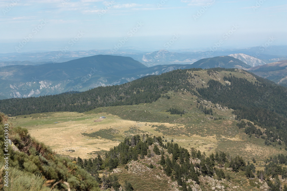 Prairie dans les Pyrénées audoises, Occitanie dans le sud de la France.
