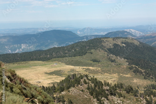 Prairie dans les Pyrénées audoises, Occitanie dans le sud de la France. 