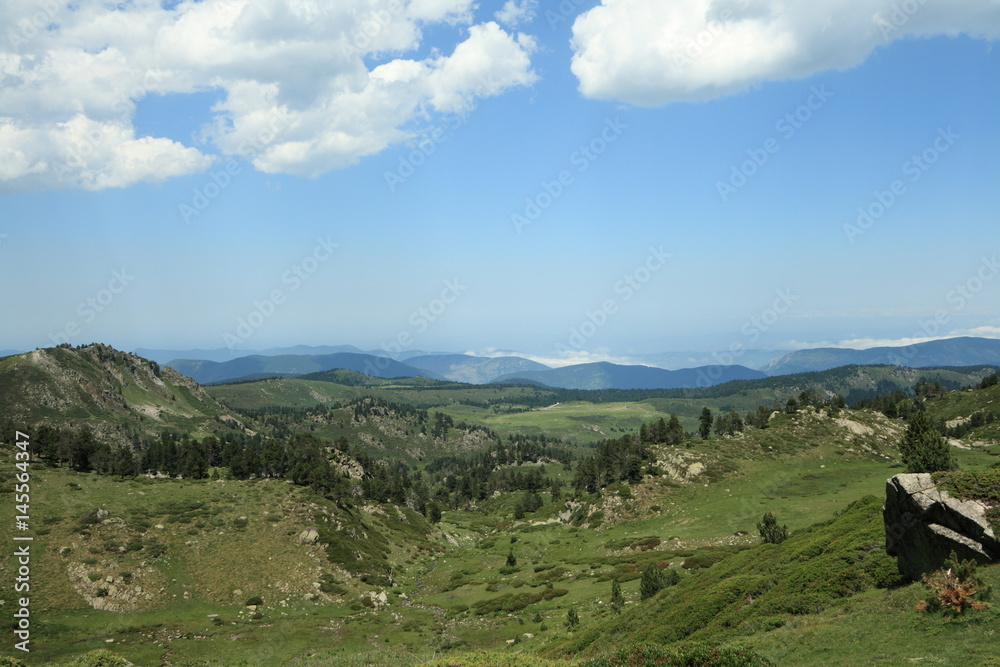 Prairie dans les Pyrénées audoises, Occitanie dans le sud de la France.
