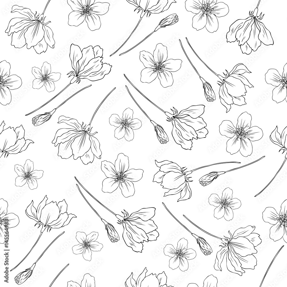 Apple flower blossom hand drawn isolated on white background, seamless ...