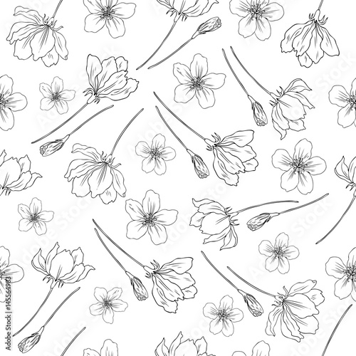 Apple flower blossom hand drawn isolated on white background, seamless vector floral pattern, sakura outline art for greeting card, package design cosmetic, invitations, wallpaper, decorative texture © m_e_l