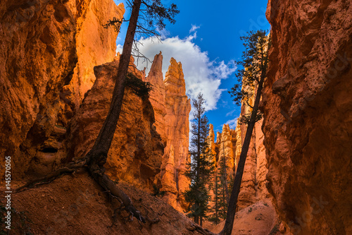 Hiking in Bryce Canyon, Rim trail-Sunset to Sunrise, Queens Garden and Peek-A-Boo Loop Trails, Bryce Canyon National Park, North America, USA