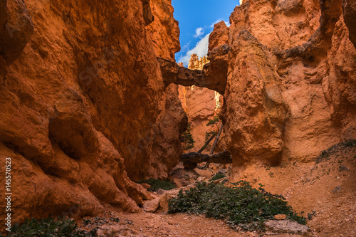 Hiking in Bryce Canyon, Rim trail-Sunset to Sunrise, Queens Garden and Peek-A-Boo Loop Trails, Bryce Canyon National Park, North America, USA