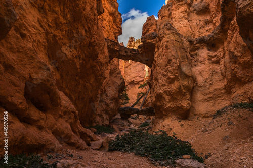 Hiking in Bryce Canyon, Rim trail-Sunset to Sunrise, Queens Garden and Peek-A-Boo Loop Trails, Bryce Canyon National Park, North America, USA