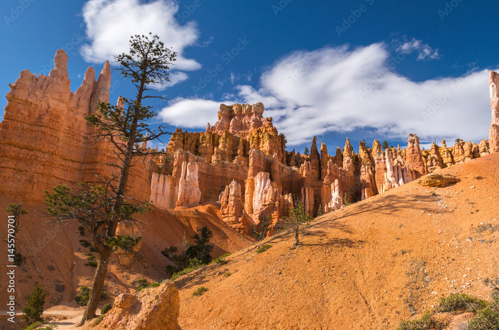 Hiking in Bryce Canyon, Rim trail-Sunset to Sunrise, Queens Garden and Peek-A-Boo Loop Trails, Bryce Canyon National Park, North America, USA Hiking in Bryce Canyon, Rim trail-Sunset to Sunrise, Queens Garden and Peek-A-Boo Loop Trails, Bryce Canyon National Park, North America, USA