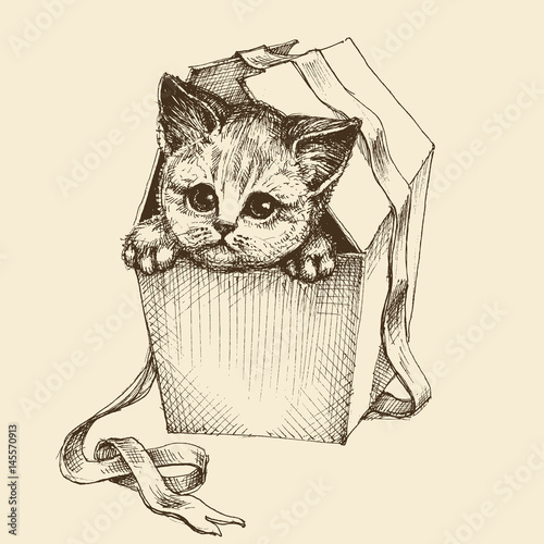 Gifting a pet illustration, cute curious cat getting out of the box