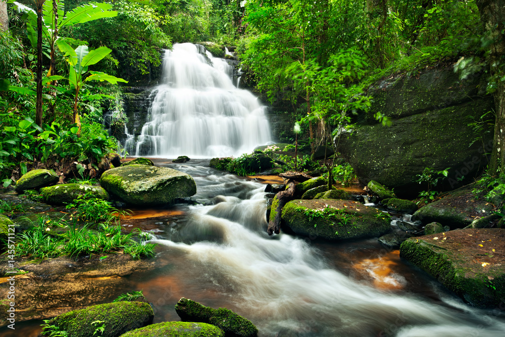 Waterfall in deep forest Waterfall in deep forest