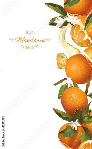 Mandarin vertical banner
