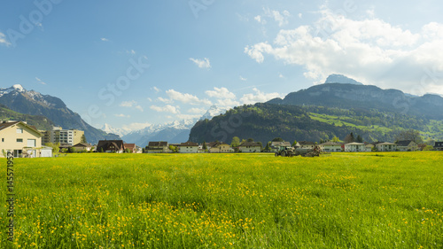 Small towns in Europe. Brunnen. Switzerland. Panorama of the town Brunnen. Traditional Alpine meadows with luscious bright grass. Tractor fertilizes the field. Travel to Europe.