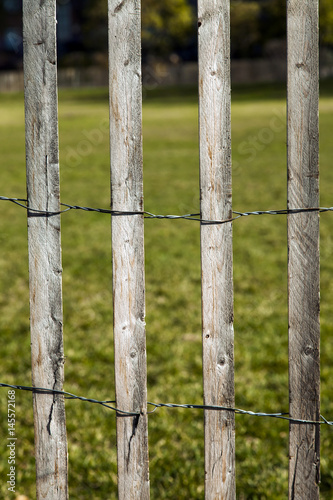 Wooden Fence and Green Lawn
