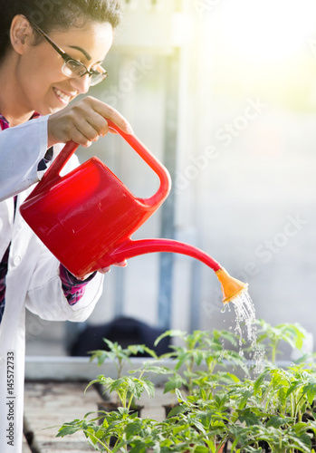 Biologist watering seedlings in greenhouse photo