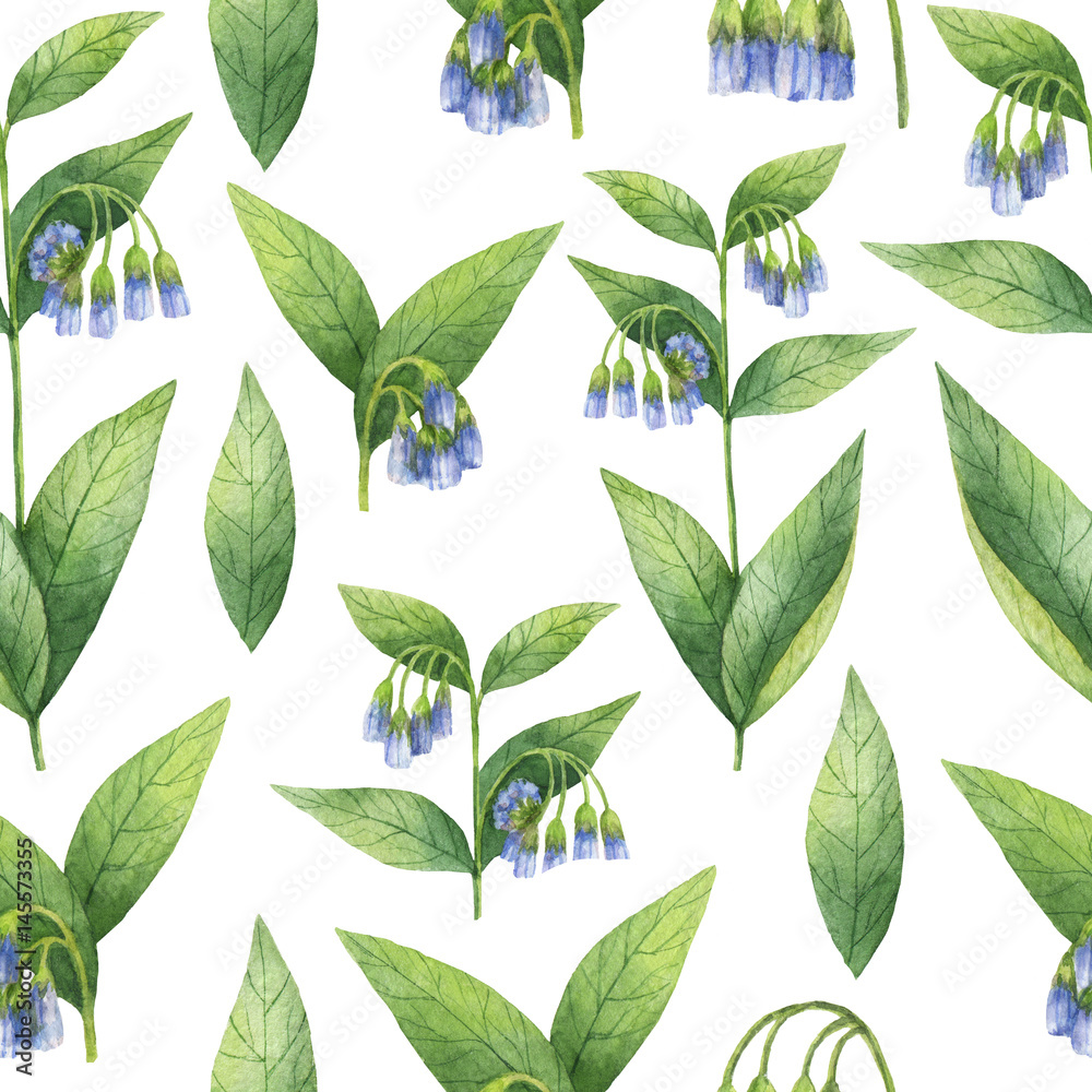 Hand drawn watercolor seamless pattern of Comfrey.
