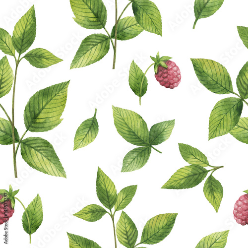 Hand drawn watercolor seamless pattern of Raspberry leaf.