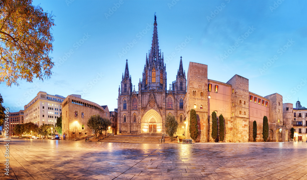 Fototapeta premium Barcelona, Panorama of Cathedral, Barri Gothic Quarter