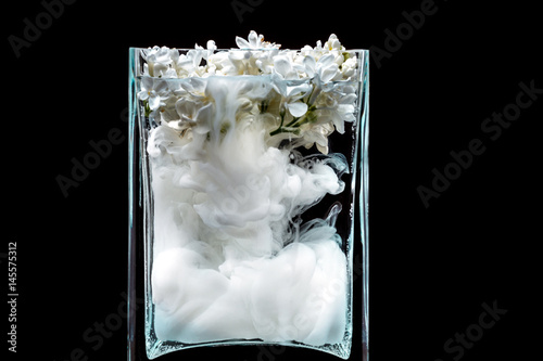 Picturesue lilac flowers and colorful ink swirling in water in a glass vase on a black background photo