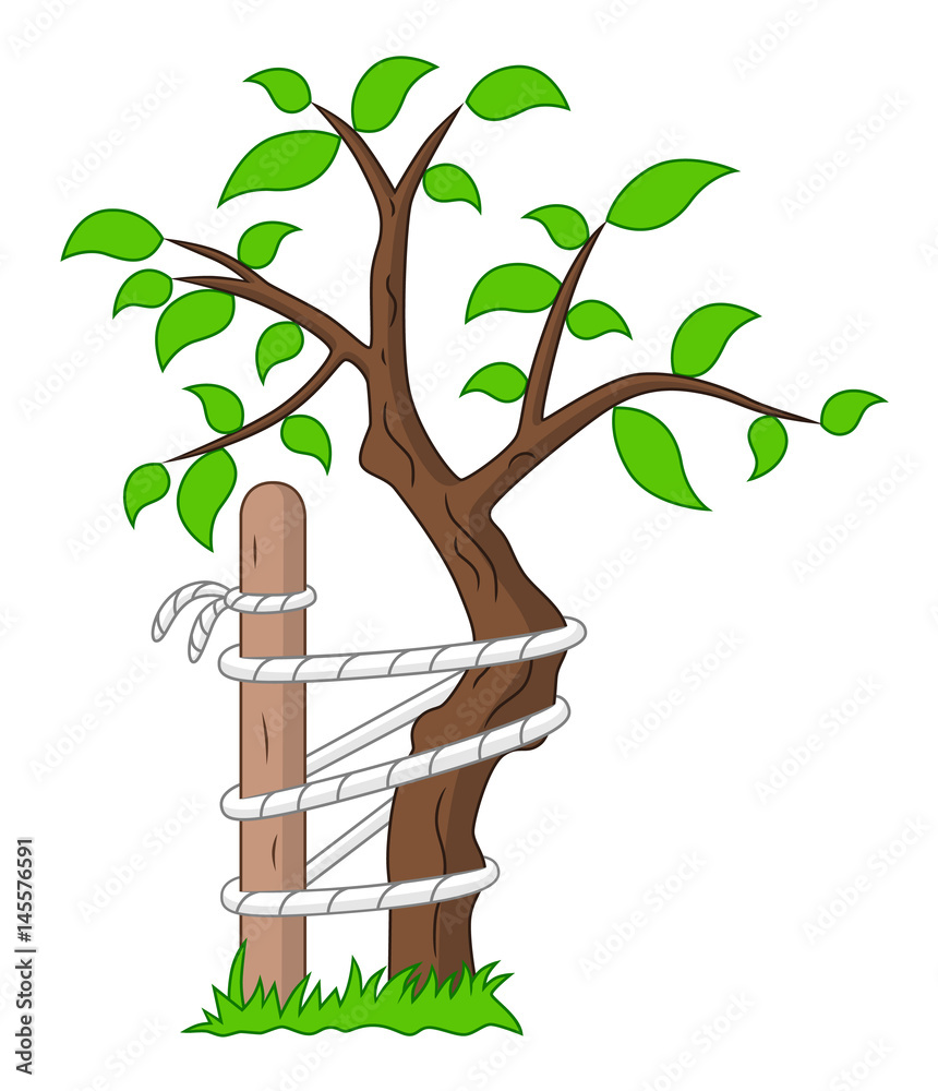 Tree of Andry Stock Vector | Adobe Stock