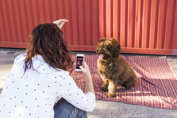 Woman with mobile smart phone taking a photo of Spanish water dog over red background. Happy dog with tongue out.  portrait Outdoors