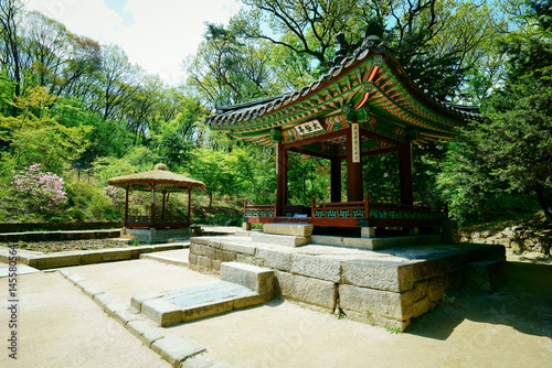 Changdeokgung Palace Secret Garden (창덕궁후원)