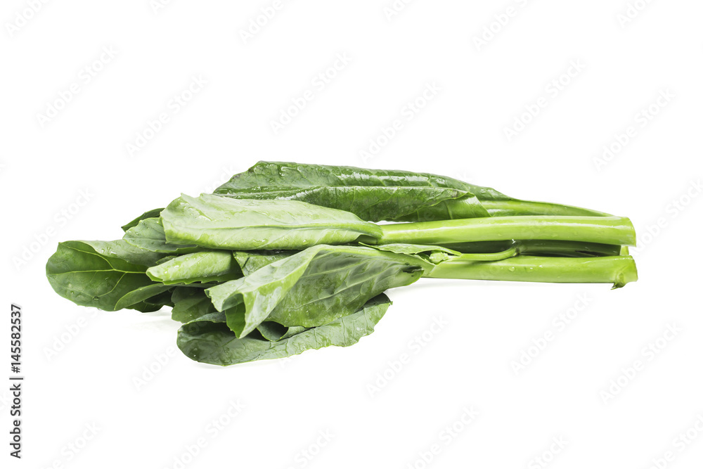 hinese kale vegetable isolated on white background. hinese kale vegetable isolated on white background.