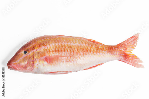 Red mullet fish isolated on white background