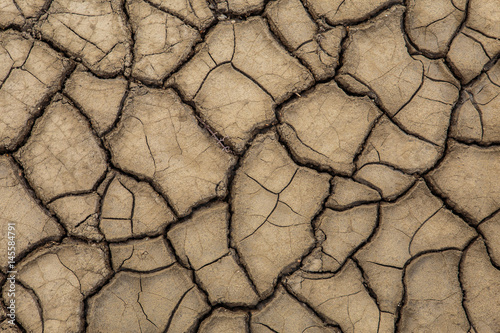 The texture of the surface of the earth that has cracked from drought.