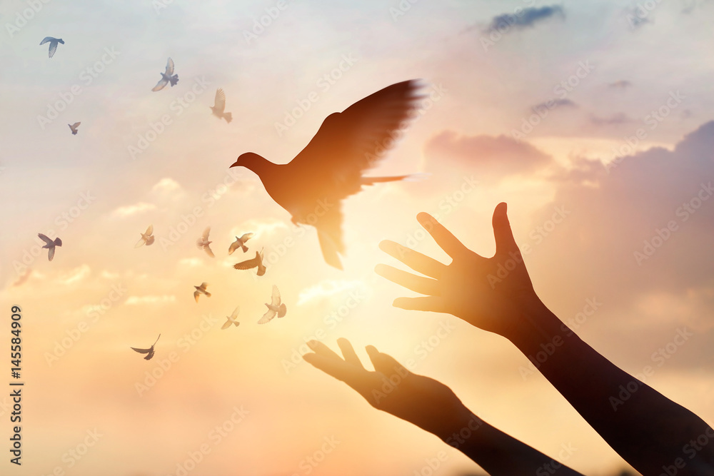 Obraz premium Kobiety modlenie i uwalnia ptaki lata na zmierzchu tle, nadziei pojęcie