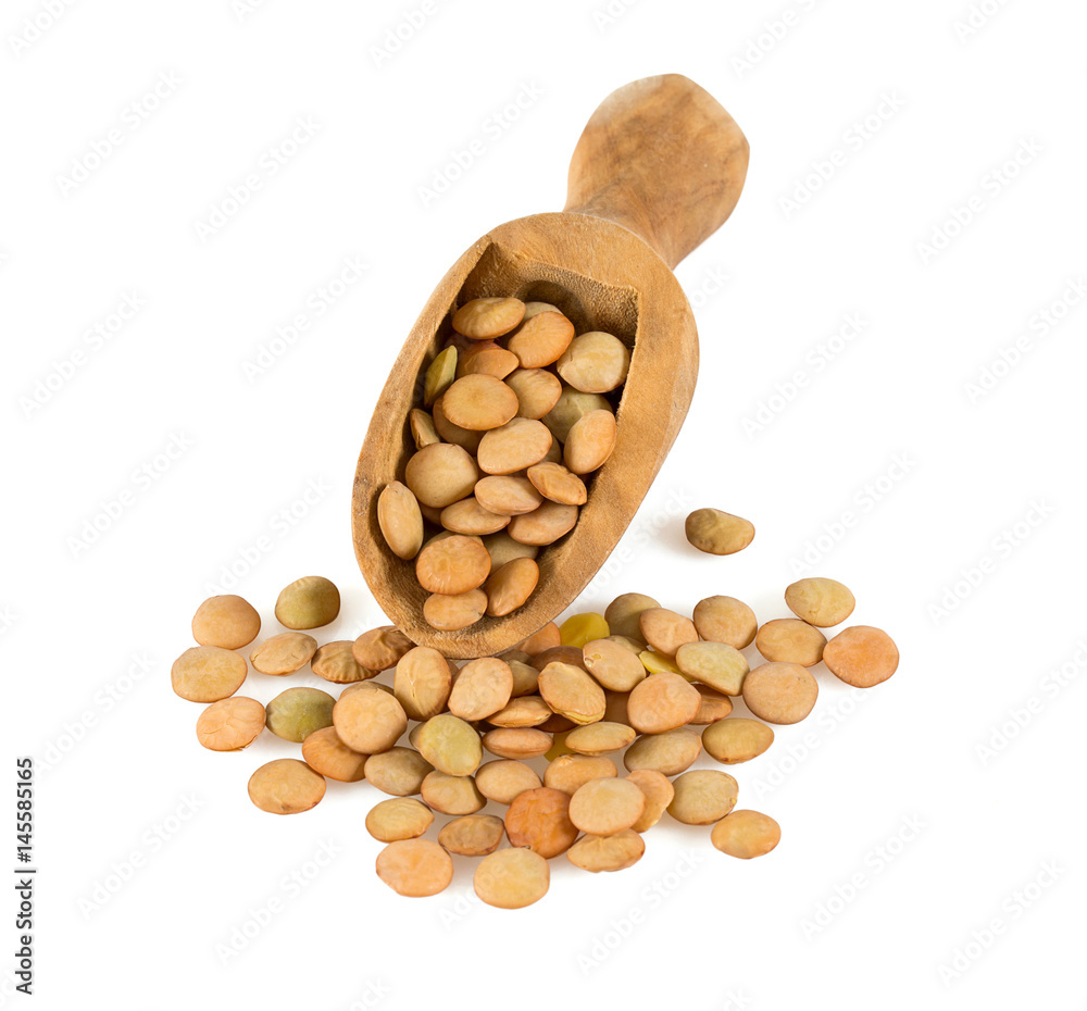 lentil isolated on white background lentil isolated on white background