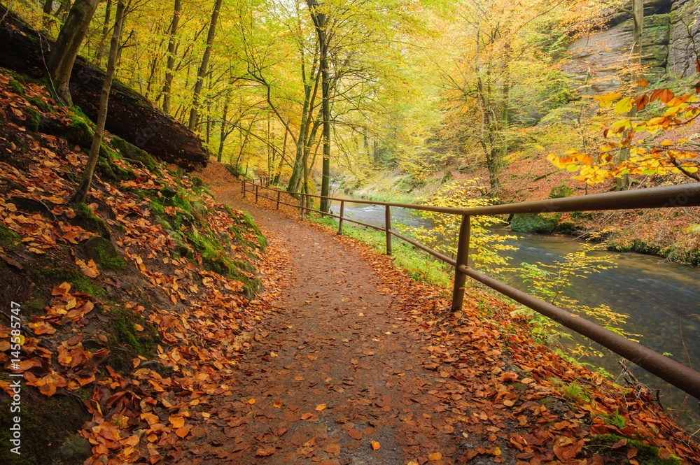 Naklejka premium Autumn colors river