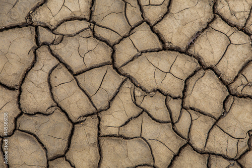 The texture of the surface of the earth that has cracked from drought.