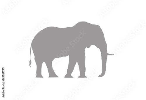 Elephant minimal vector illustration  silhouette isolated on a white background