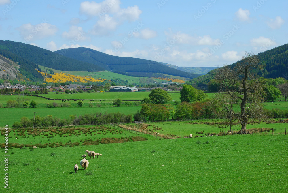 Innerleithen and Tweed valley looking east