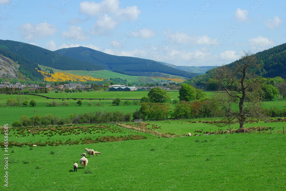 Innerleithen and Tweed valley looking east Innerleithen and Tweed valley looking east