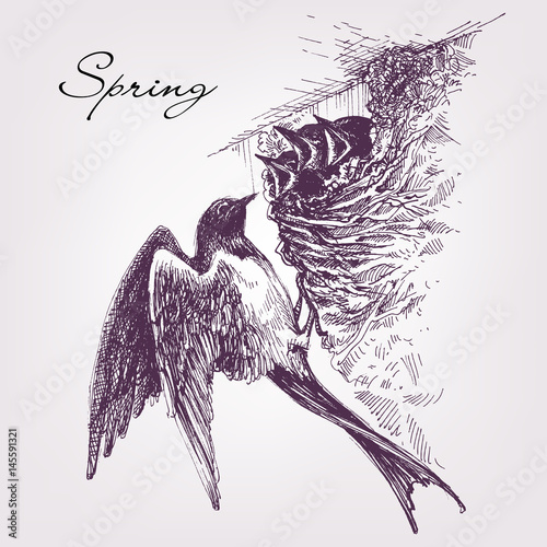 Swallow's nest, baby birds spring symbol