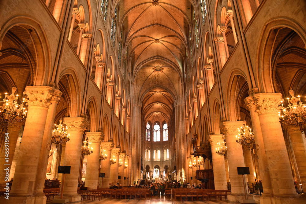 Nef de Notre-Dame-de-Paris, France