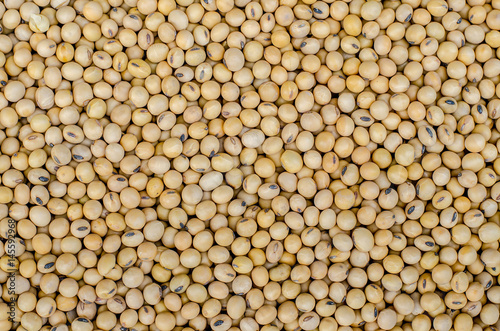 Macro shot of soybeans fills the frame is background