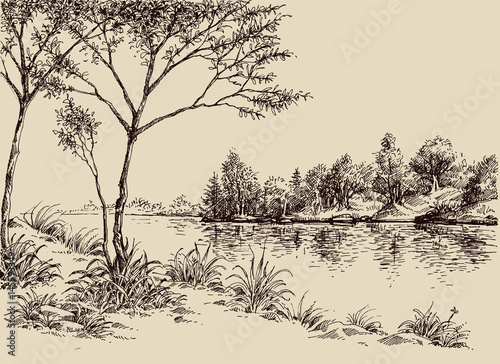 Hand drawn artistic landscape. River banks, trees and vegetation