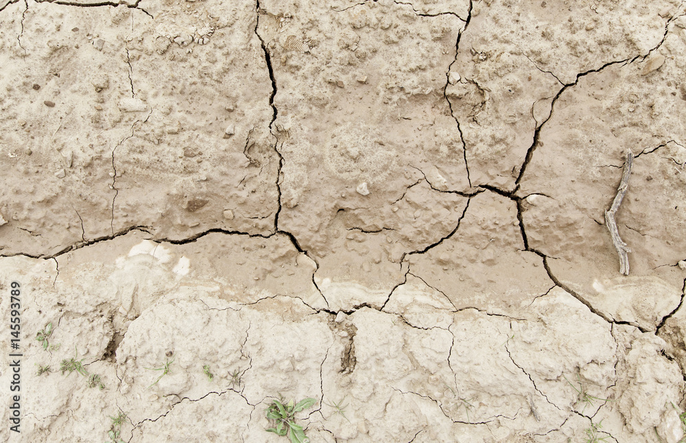 Obraz premium Dry soil by a drought