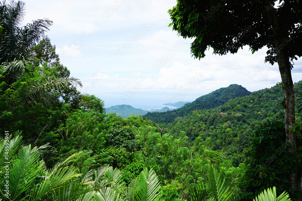 Bali view