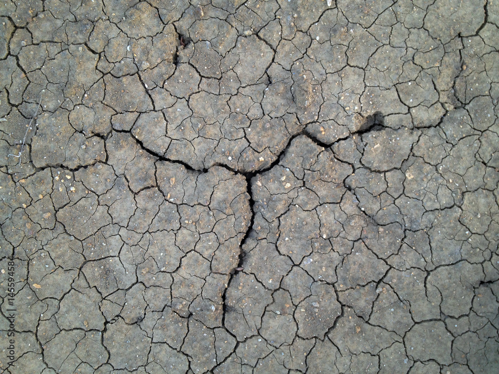 Fototapeta premium Crack soil on dry season