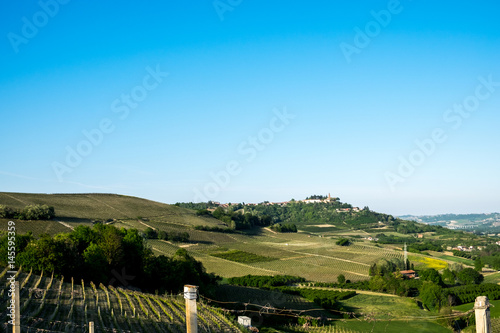 Vineyards on hills in the Langhe region  Piedmont  Italy