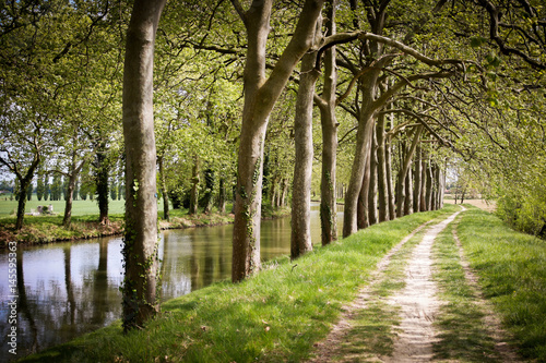 Canal du Midi