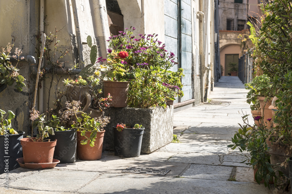 Typical Italian village street decorated with flower pots