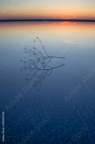 Sunset on the salt lake of Elton.