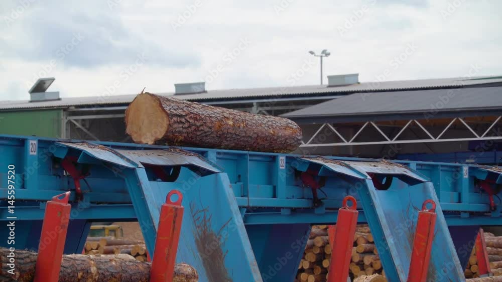 13433_One_big_pine_log_moving_on_the_machine.mov 13433_One_big_pine_log_moving_on_the_machine.mov