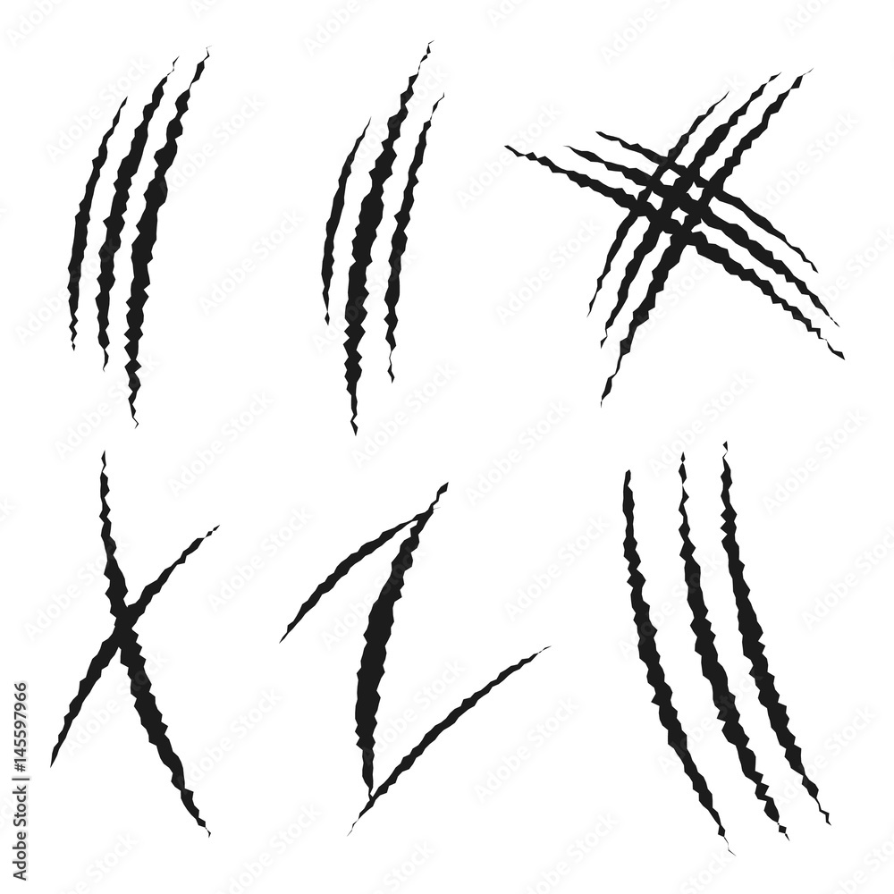 Scratched Claw Mark Set. Isolated on White Background. Scratched Claw Mark Set. Isolated on White Background.