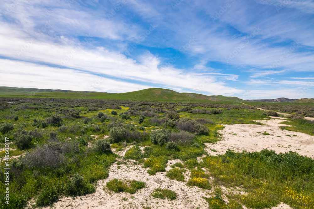 Carrizo Plain National Monument, San Andreas Fault (boundary between the Pacific Plate and the North American Plate), California USA, North America