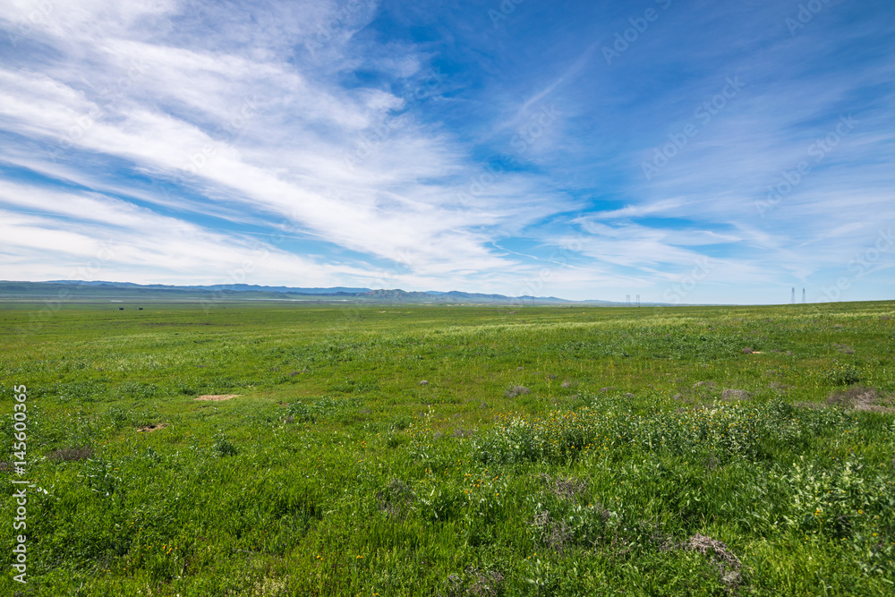 Carrizo Plain National Monument, San Andreas Fault (boundary between the Pacific Plate and the North American Plate), California USA, North America