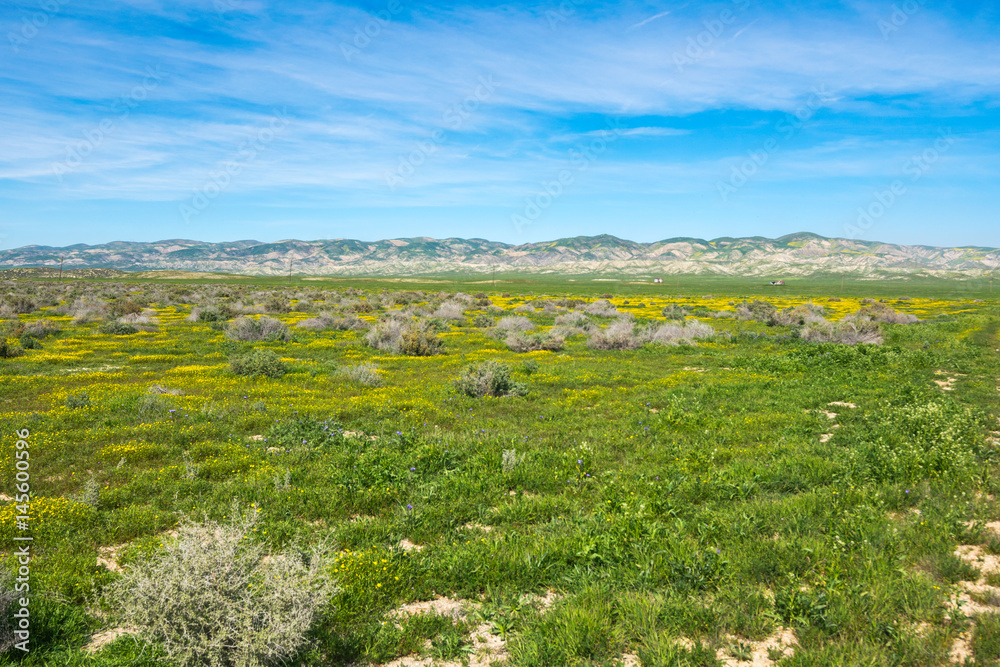 Carrizo Plain National Monument, San Andreas Fault (boundary between the Pacific Plate and the North American Plate), California USA, North America