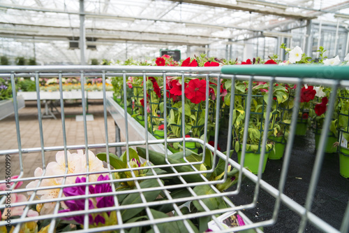 Garden center seen from the cart