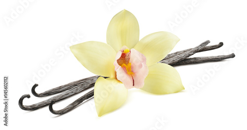 Vanilla bean flower horizontal isolated on white background